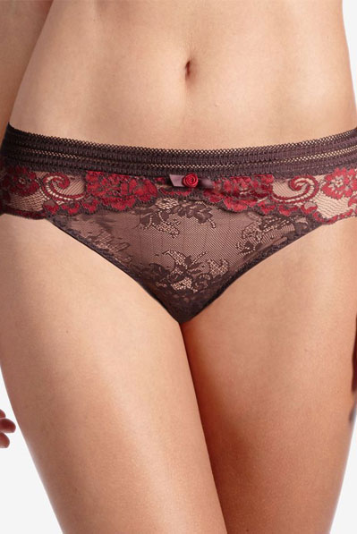 Lace Elegant Panties